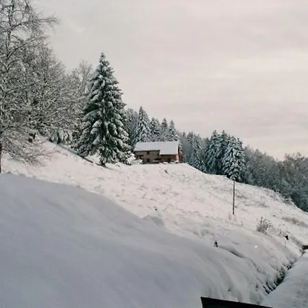 Vakantiehuis Grande Ferme Renovee A Chevre Roche, 8 Chambres, 15 Personnes, Avec Wi-fi - Fr-1-589-788