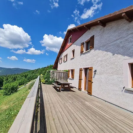 Grande Ferme Renovee A Chevre Roche, 8 Chambres, 15 Personnes, Avec Wi-fi - Fr-1-589-788 Vagney